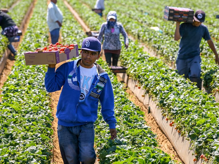 Concanaco reconoce que la reducción de la jornada es una meta socialmente legítima, pero advirtió que su aplicación debe evitar poner en riesgo la viabilidad de los negocios que generan empleo