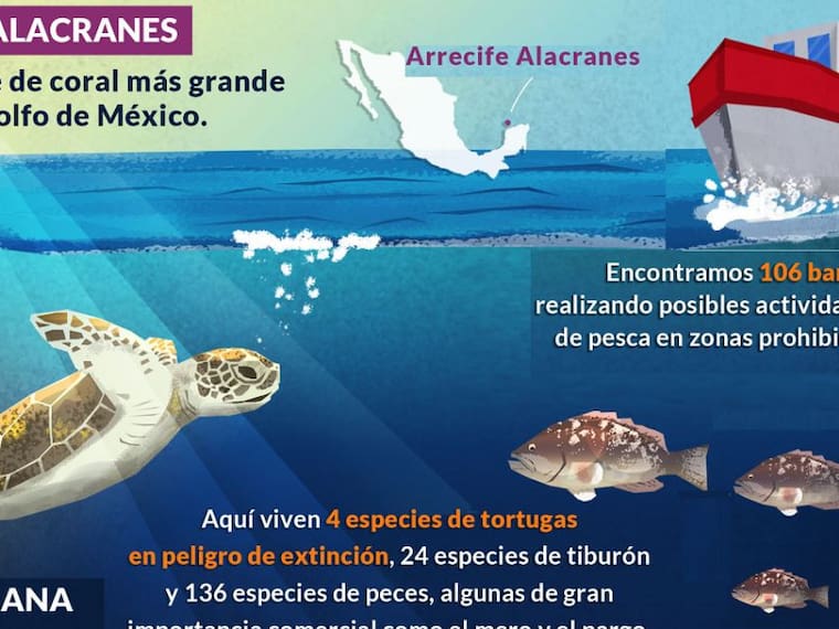Embarcaciones mexicanas realizan pesca ilegal en áreas protegidas: OCEANA