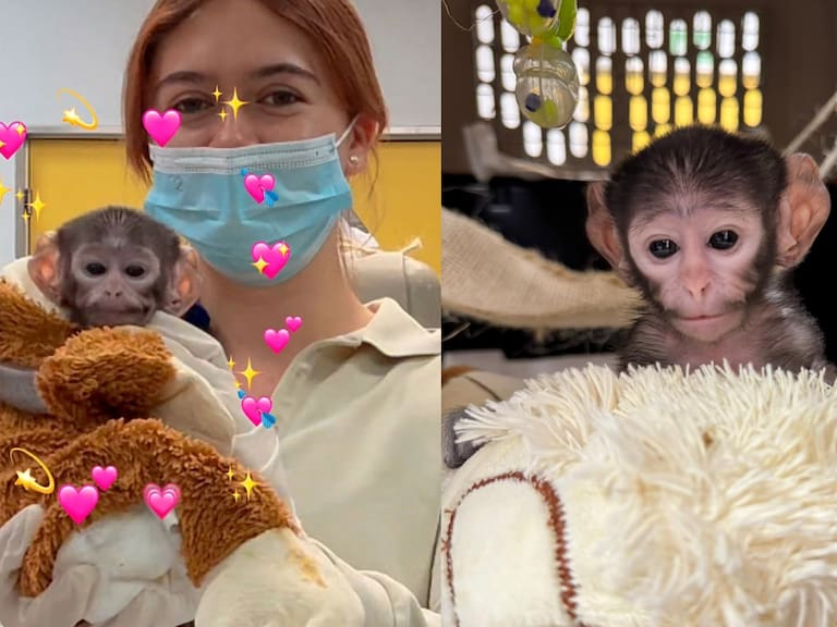 Mx - Yuji, el 'Monkey Punch' mexicano que tambié fue rechazado por su mamá