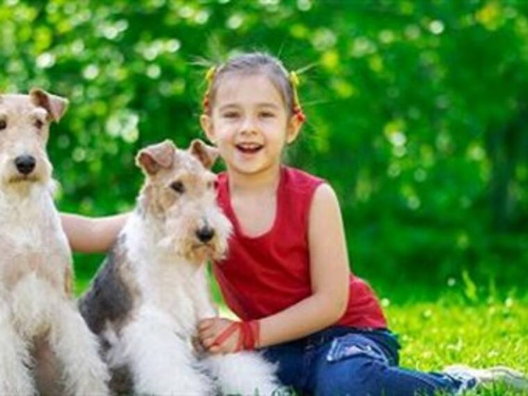 Art fest animalero. Trinidad Sánchez, Voluntaria de Cuidando Huellas. 27/04/13