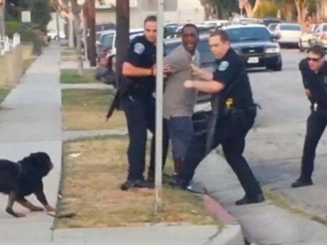 Matan a un perro en California 'El reino animal' con Marielena Hoyo