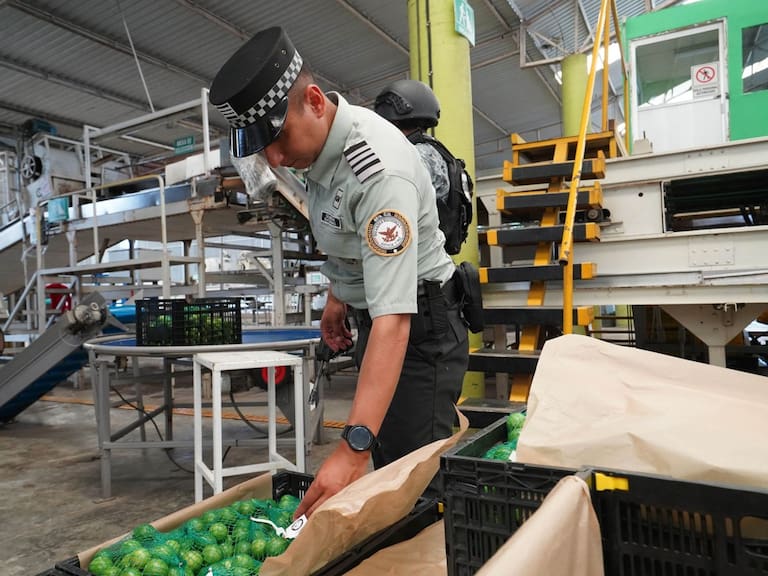 El gobierno de Estados Unidos se está dando cuenta que el crimen organizado está penetrando la cadena productiva de México y eso le pega en el corazón al Tratado de Libre comercio.