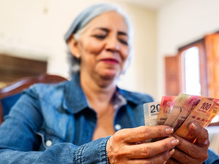 El Formato FUB es obligatorio para los programas de Mujeres Bienestar.