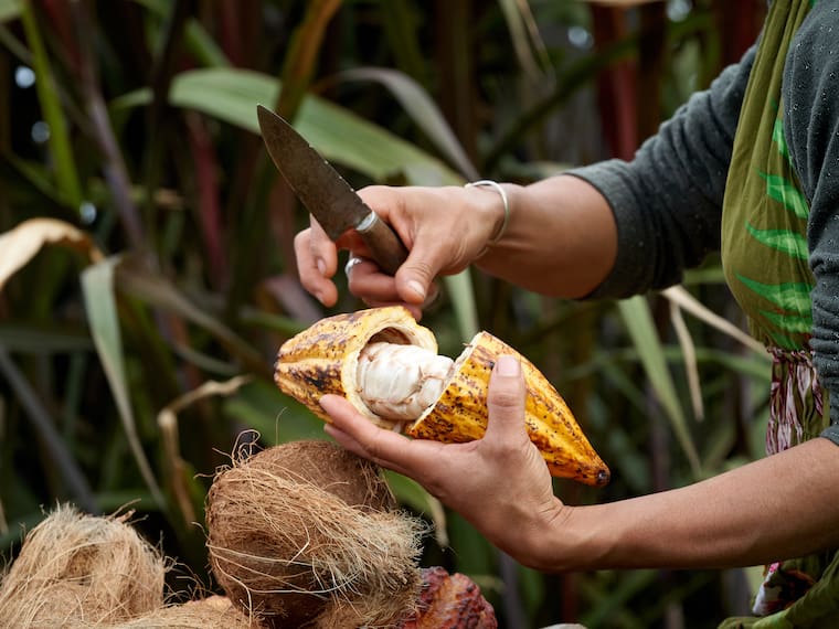 Chiapas es un lugar por descubrir: Julio Salazar
