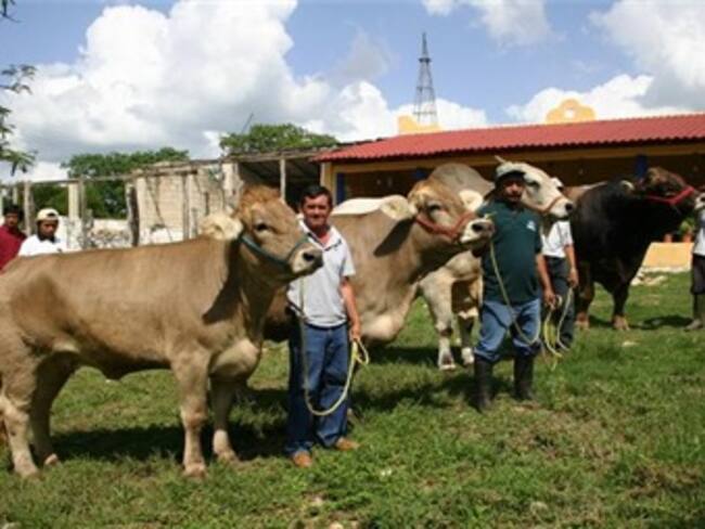 Privan de la vida a ganadero de La Laguna