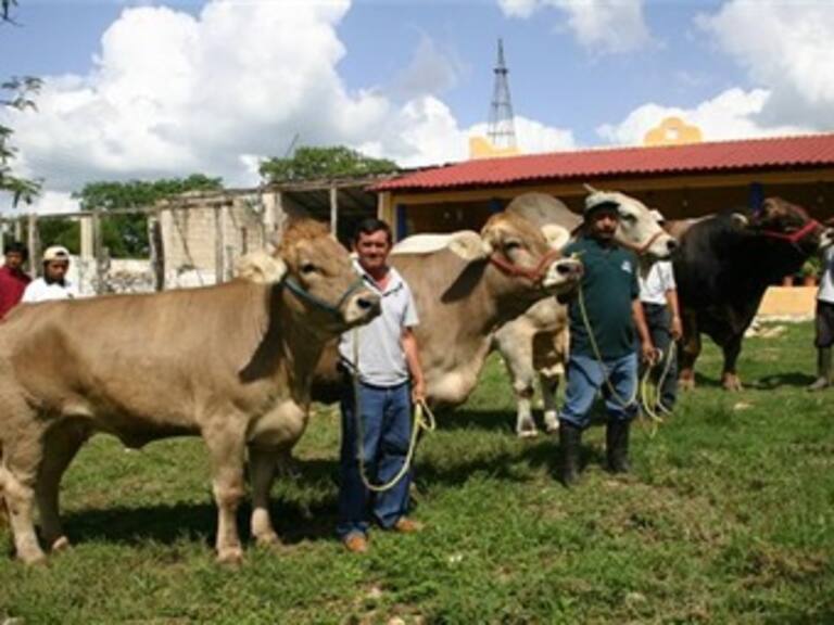 Privan de la vida a ganadero de La Laguna