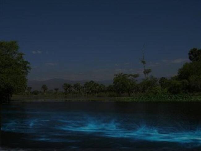 ¿Cómo embonar el turismo de Brasil con México?: Marco Daniel Guzmán