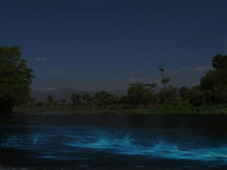 ¿Cómo embonar el turismo de Brasil con México?: Marco Daniel Guzmán