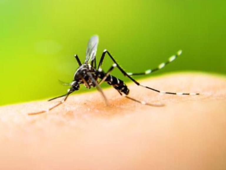 Piden transparentar gastos de combate contra el dengue