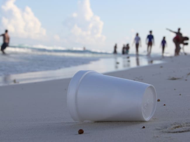 ¿Sales de vacaciones? Estas son las playas más contaminadas, según Cofepris