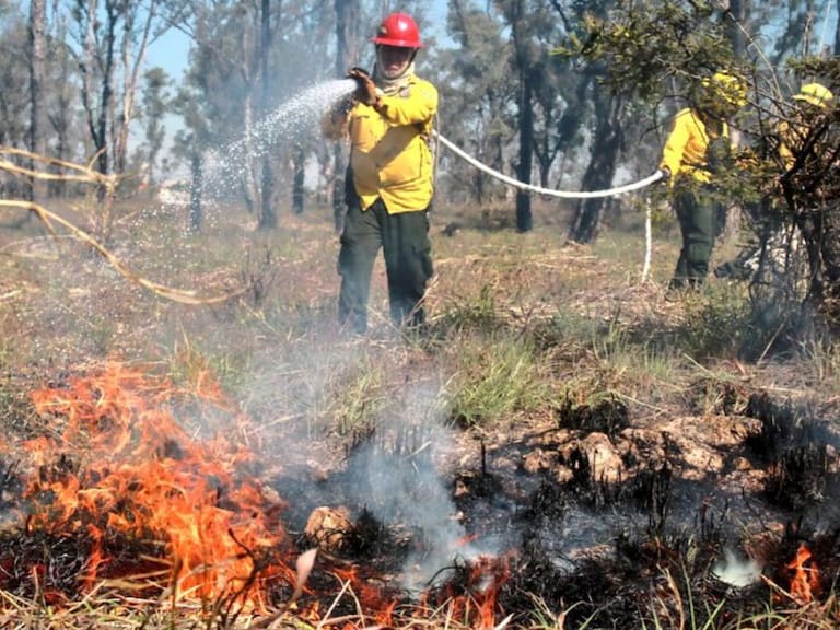 Colocan guardarrayas contra incendios forestales en Zapopan