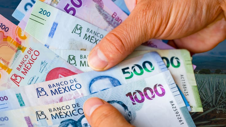 Producción para el Bienestar entrega hasta 24 mil pesos en 2026: Calendario y fechas de pago