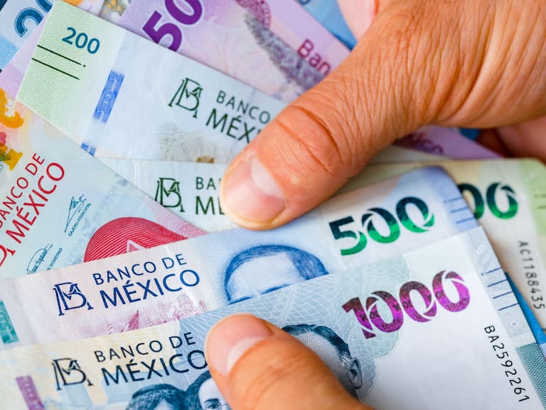 En mayo se realiza el segundo pago del programa de Producción para el Bienestar 2026.