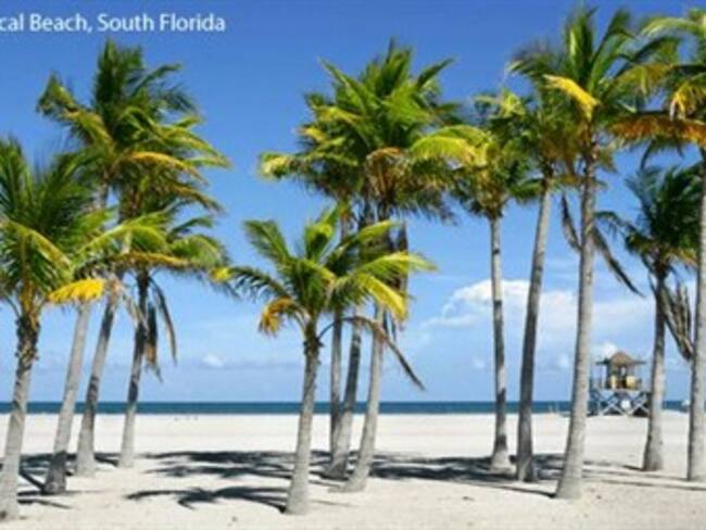 Reportan primer caso de gripe porcina en Florida