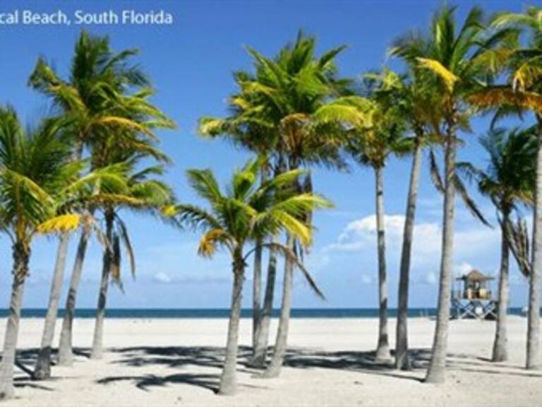 Reportan primer caso de gripe porcina en Florida