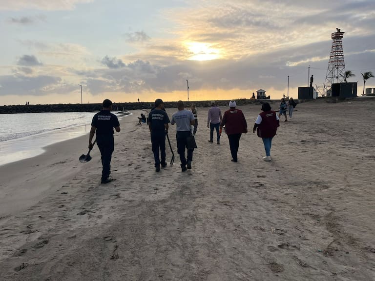 Grupo Interinstitucional actualiza avances y refuerza acciones integrales ante presencia de hidrocarburos en costas del Golfo de México