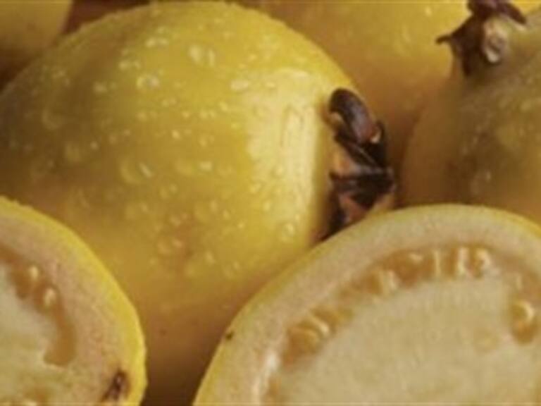 Entra guayaba mexicana a EU después de 20 años de veda