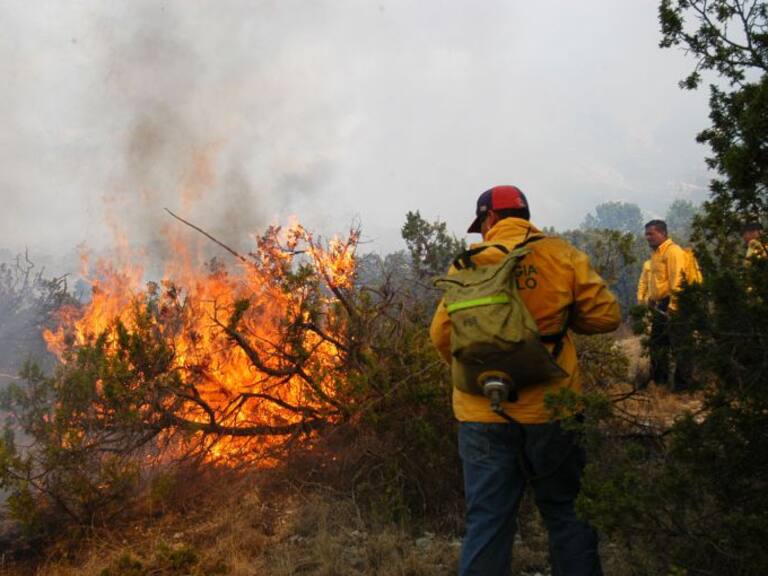 Incendios consumen alrededor de 50 hectáreas boscosas en Uruapan