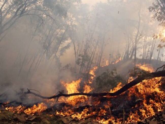Detienen a mujer que quemaba cables cerca de Bosque de la Primavera