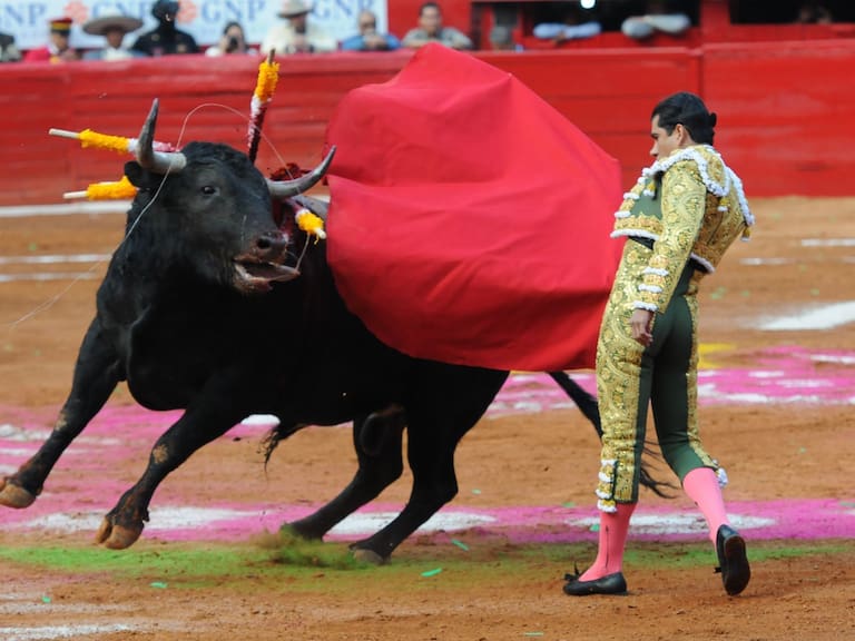 Suspenden corridas de toros en CDMX a favor de los derechos animales  