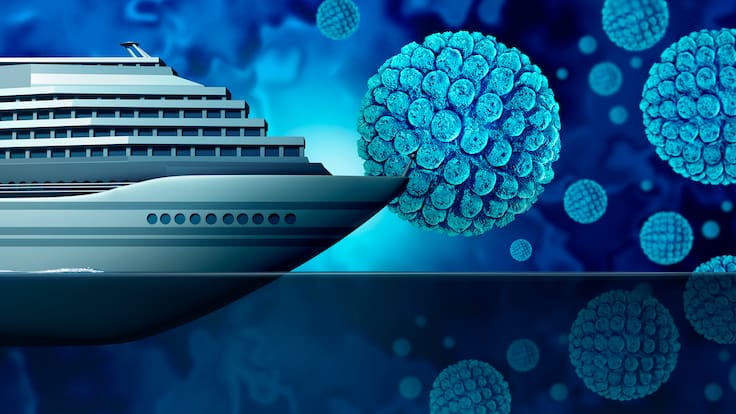 Brote de Hantavirus en crucero MV Hondius: Síntomas y riesgos de la cepa Andes
