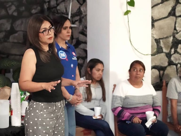 Diputados federales del PAN pidieron al Senado discutir desaparición forzada y otras iniciativas relacionadas con el reclutamiento de niñas y niños por organizaciones criminales.