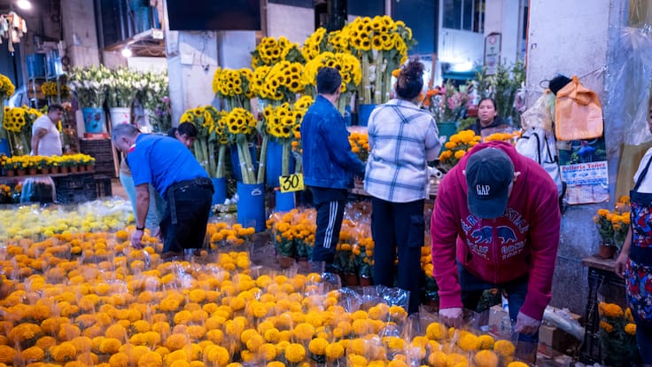 ¿Dónde comprar cempasúchil en CDMX? Precios, ubicaciones y hasta cuándo estará la venta