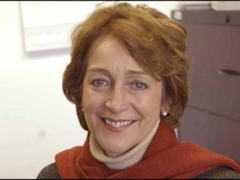 Designa IFAI a integrantes del Comité Técnico de Evaluación para el INE