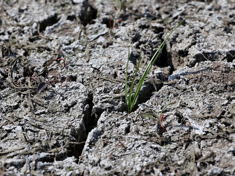 La UNAM advierte que el calentamiento global en México podría estar ocurriendo a un ritmo más acelerado de lo previsto.