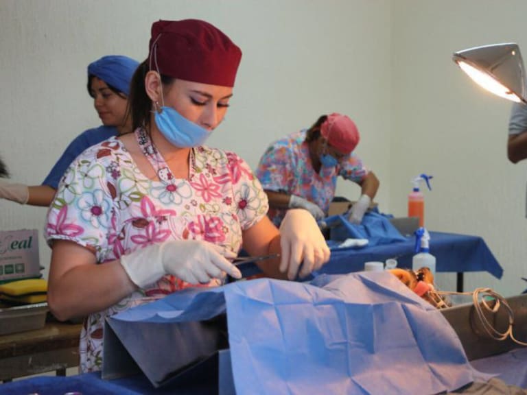 Tlajomulco continúa con programa de esterilización de mascotas