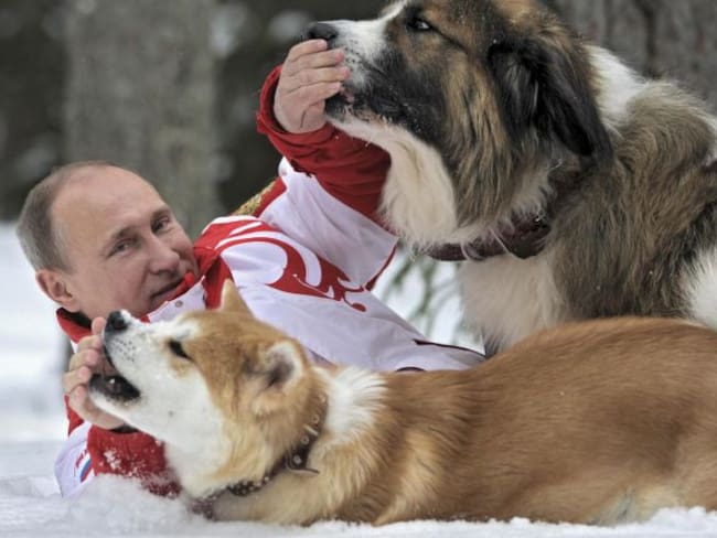 ¿Por qué todo mundo le regala perros a Vladimir Putin?