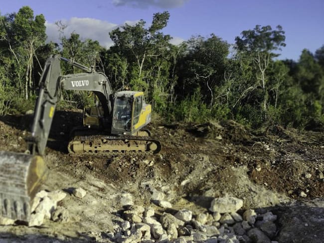 Ecocidio y etnocidio del pueblo Maya: Rodrigo Medellín
