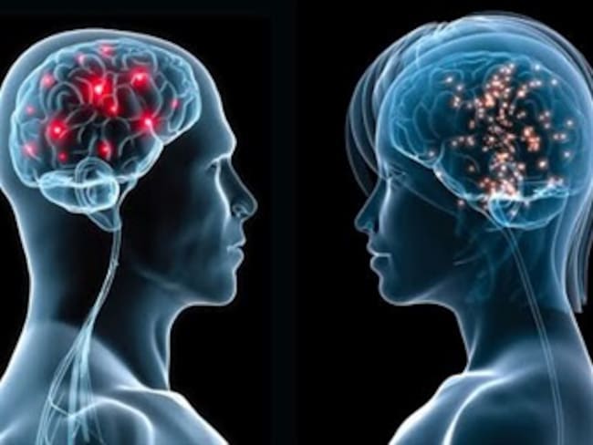 ¿Sabías que los hombres tienen un 16 % más de neuronas que las mujeres?