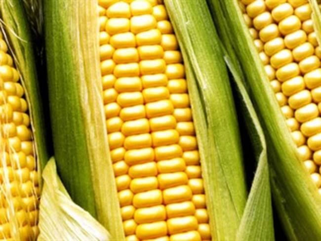 Prepara G-20 reunión ante alza de precio de alimentos