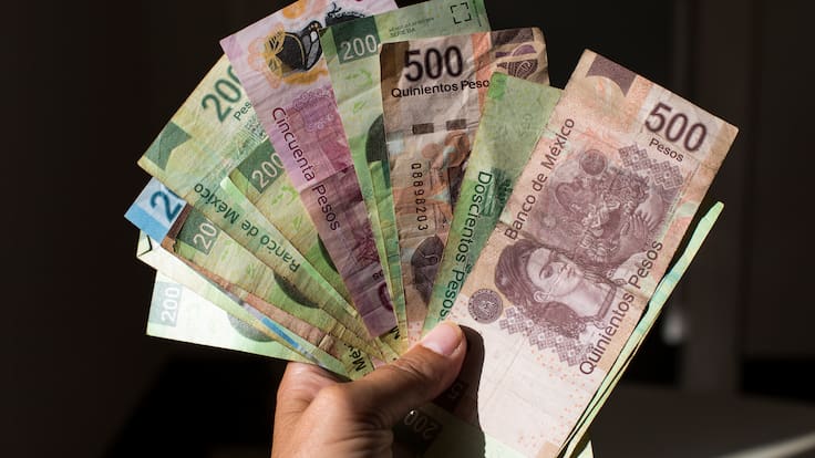 ¿Peligran las donaciones? El SAT explica las bajas masivas de organizaciones civiles