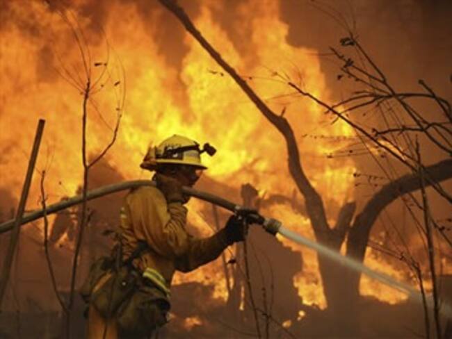 Registran más de 300 incendios forestales en Reynosa