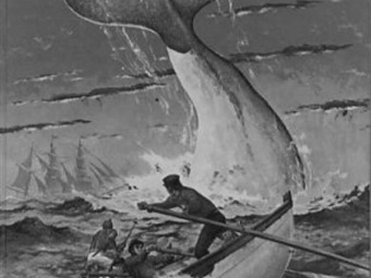 Historias perdidas. El barco ballenero Essex, parte II