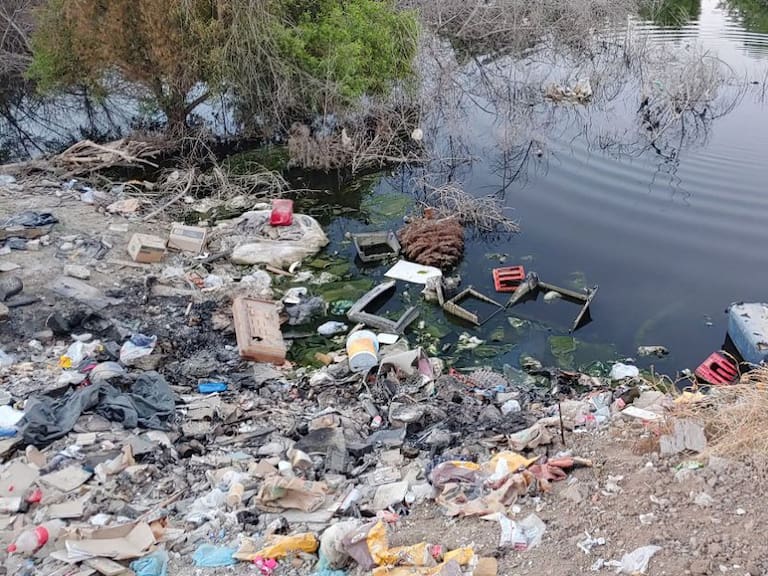 México está en crisis, por la gestión de plásticos: Alethia Vázquez