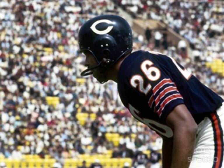 Invictos Los Chicago Bears