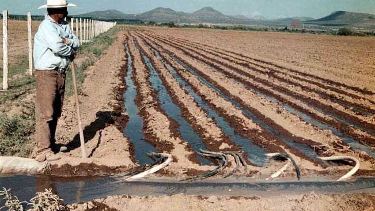 Centralización de Conagua genera preocupación en el sector agrícola