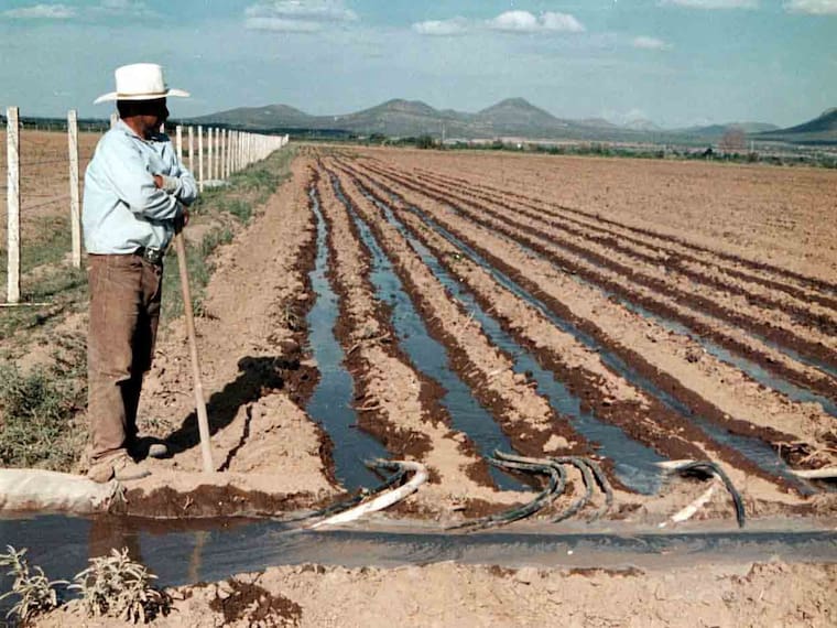 Nueva Ley General de Aguas: avances en administración, pero persisten riesgos para la producción agroalimentaria
