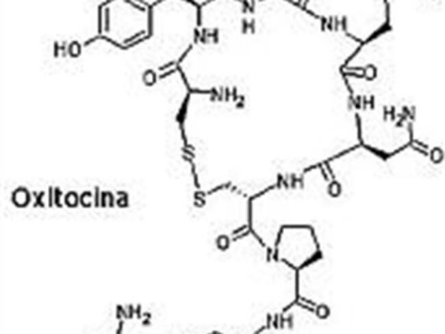 Hormona de la fidelidad.'Planea tú salud' con Arieh Goldberg