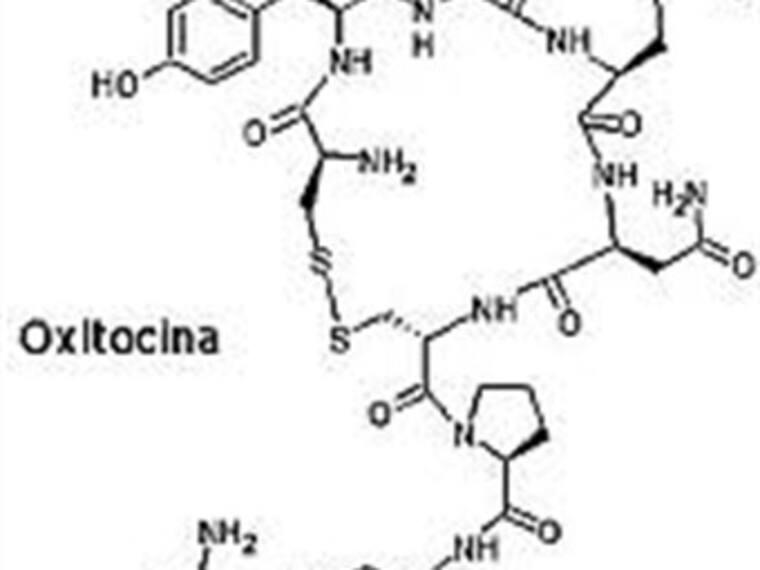 Hormona de la fidelidad.'Planea tú salud' con Arieh Goldberg
