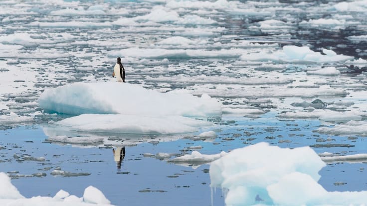 La Antártida registra temperaturas jamás alcanzadas