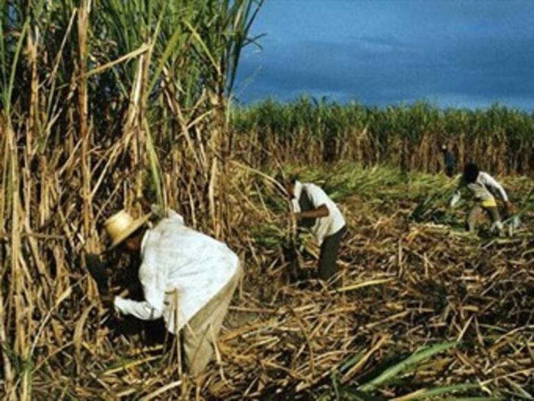 Avanza Reforma al Campo: Sagarpa