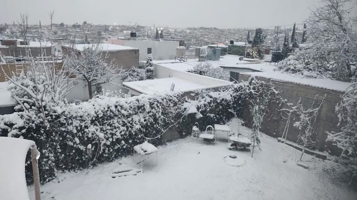 ¿Tormenta invernal afectará a México? Sener-CFE descarta apagones y explica qué hacer