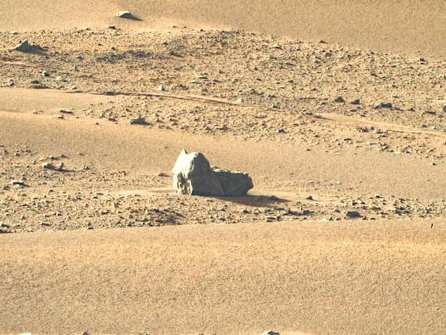 NASA descubre “gato” en Marte, tras misión del Perseverance
