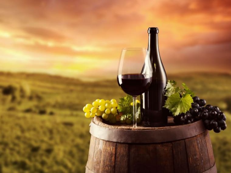 Festin W, Mitos y realidades del vino
