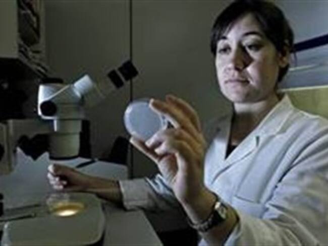 Alerta Chile por reaparición de Malaria a causa del cambio climático