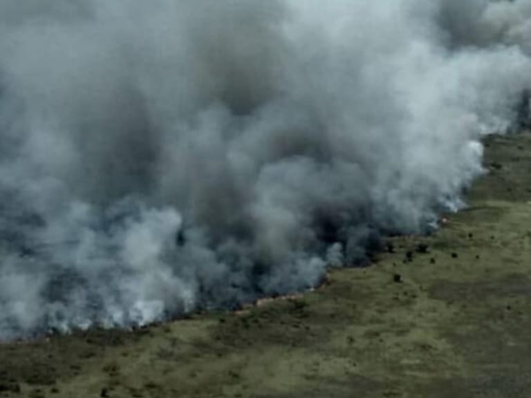 Lamentable incendio consume más de 2 mil hectáreas de reserva natural en QR